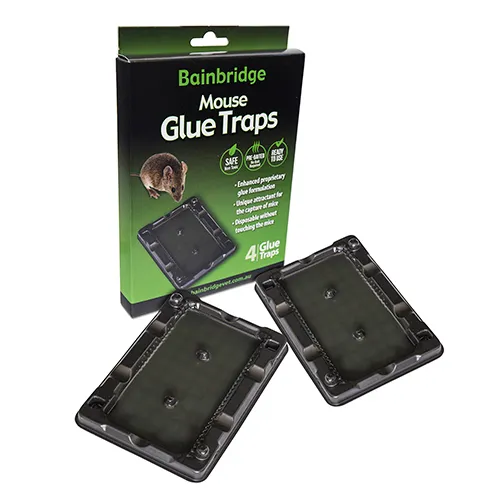 Mouse Glue Traps 4 pack